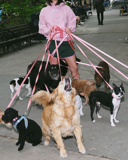You Look Good Pet Set